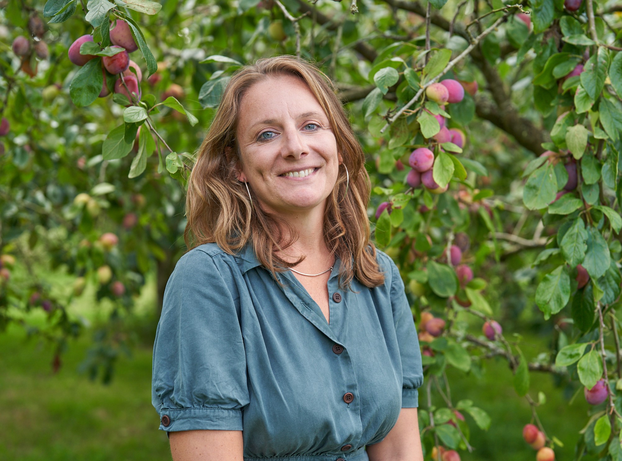 Photo credit Lisa Linder/Gardens Illustrated magazine